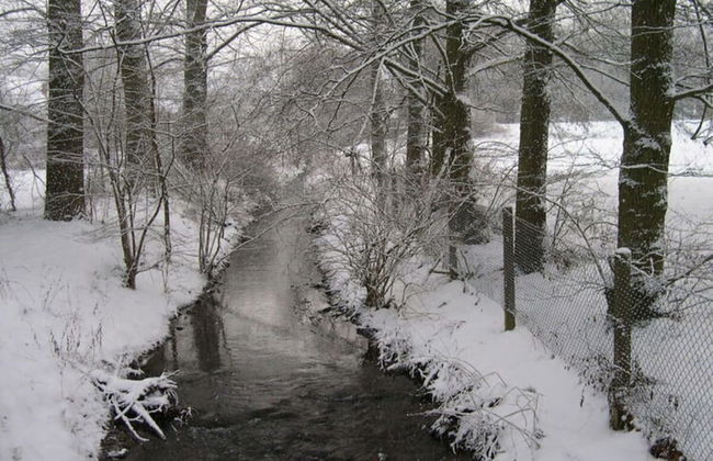 1 Mainblick Brigitte - Foto 16