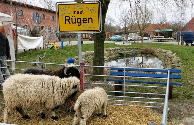 Beach Apartment With sea Views - Foto 22