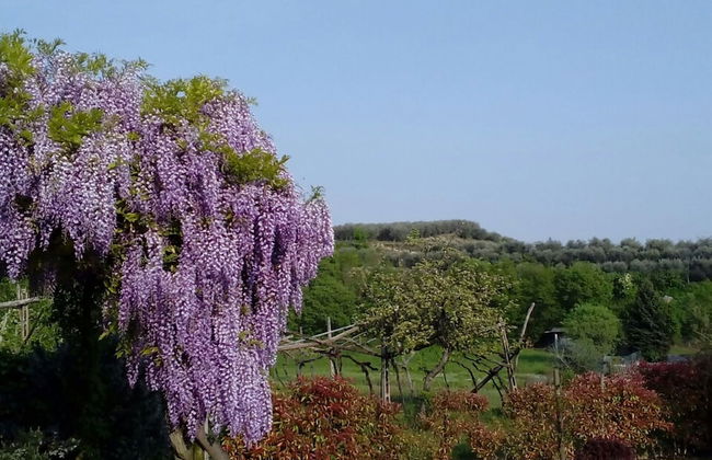 Shimmering Serenity in Pastrengo - Foto 13