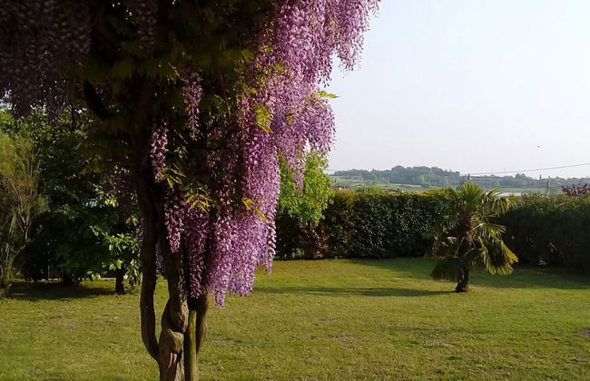 Shimmering Serenity in Pastrengo - Foto 14