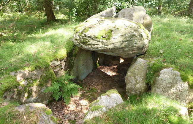 Holiday Home Wollspeicher - Foto 5