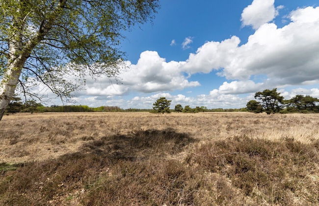 Apartment in Drenthe Near National Park - Foto 42