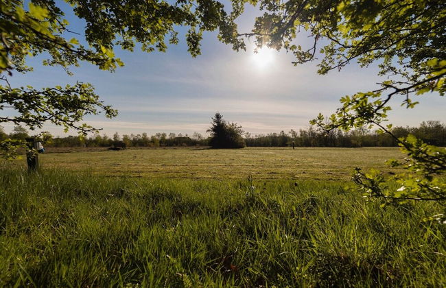 Apartment in Drenthe Near National Park - Foto 43