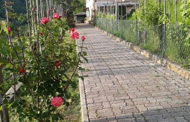 Holiday Home in Tuscany With Scenic Views - Foto 26