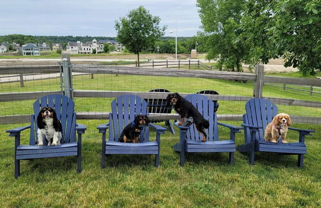 On Cloud Wine - Foto 22