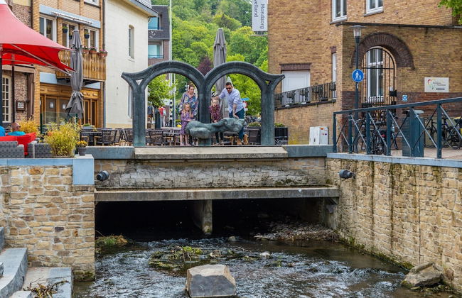 Casa de 3 quartos em Gulpen com piscina e terraço - Foto 53
