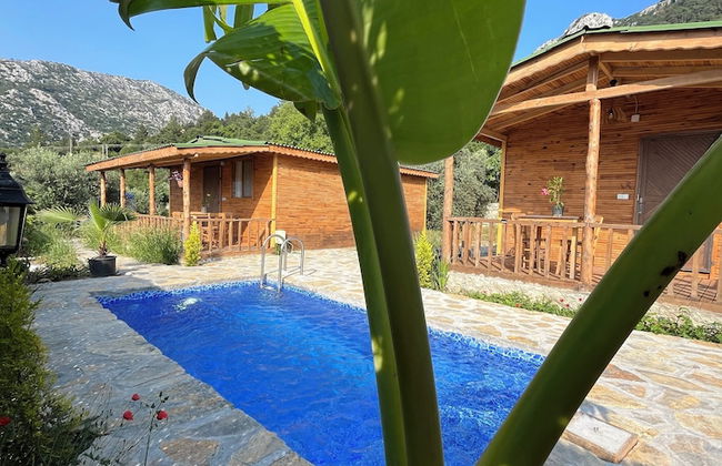 Afera Koy Evi - Foto 18