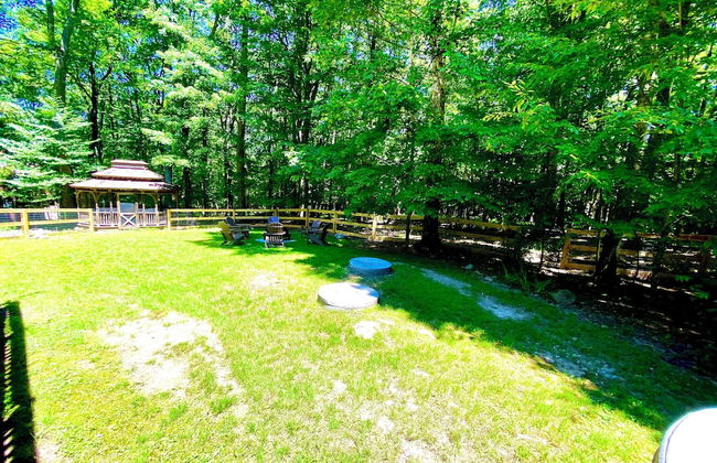 Almost Bearadise - Photo 42