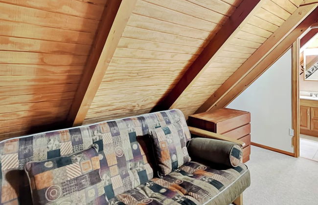 Almost Bearadise - Photo 18