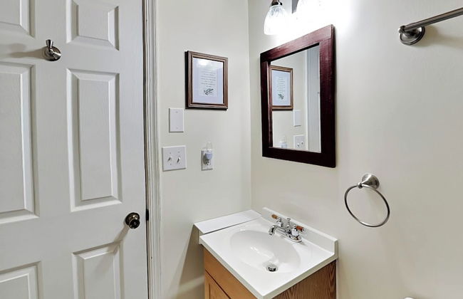 Almost Bearadise - Photo 27