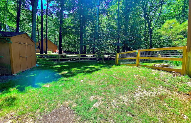 Almost Bearadise - Photo 41