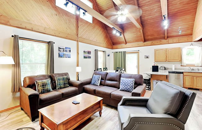 Almost Bearadise - Photo 10