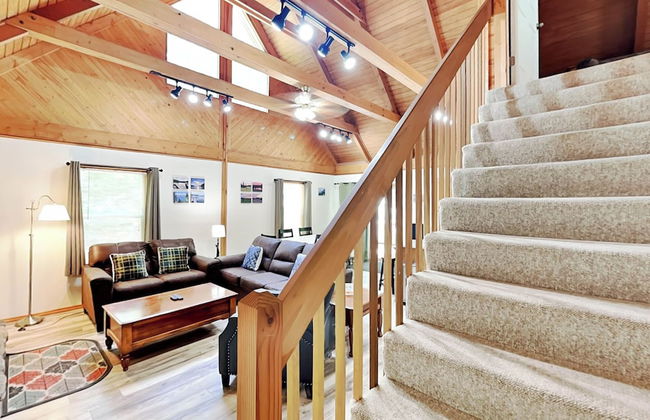 Almost Bearadise - Photo 33