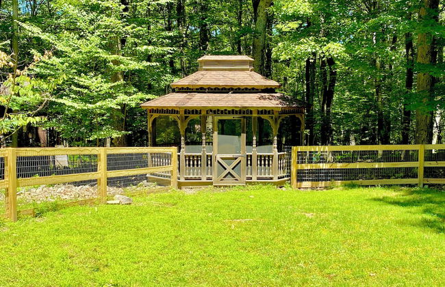 Almost Bearadise - Photo 6