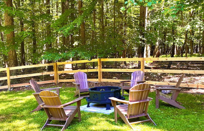 Almost Bearadise - Photo 4