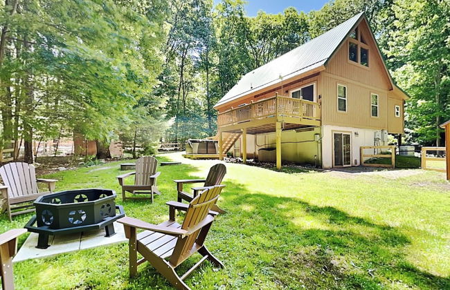 Almost Bearadise - Photo 1