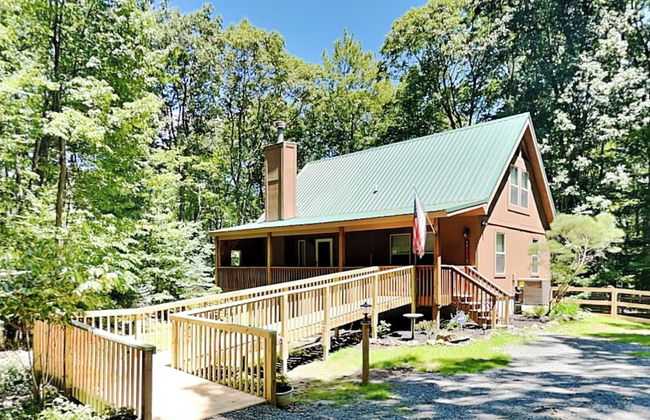 Almost Bearadise - Photo 45