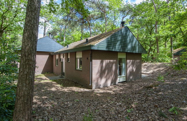 Bungalow in De Peel by Tranquil Forest - Foto 17