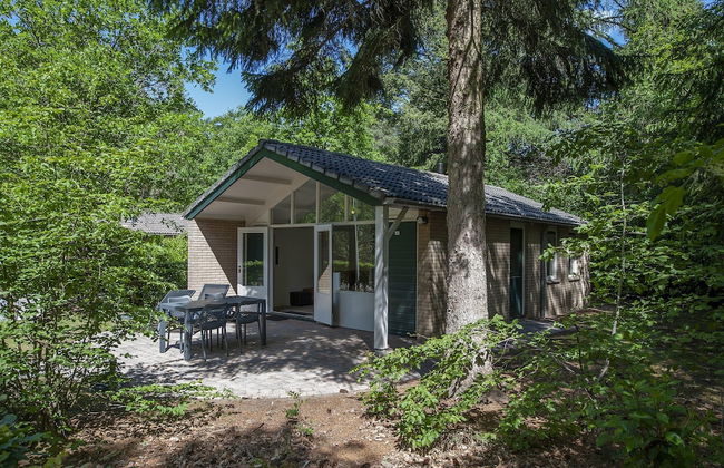 Comfortable Bungalow on the Veluwe - Foto 16