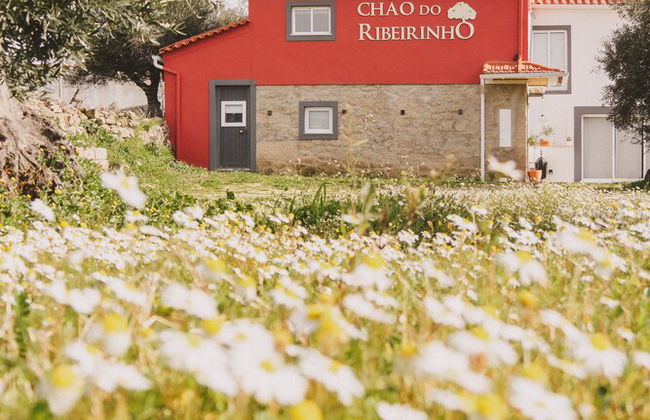 Chão do Ribeirinho, Castelo Branco - Foto 16