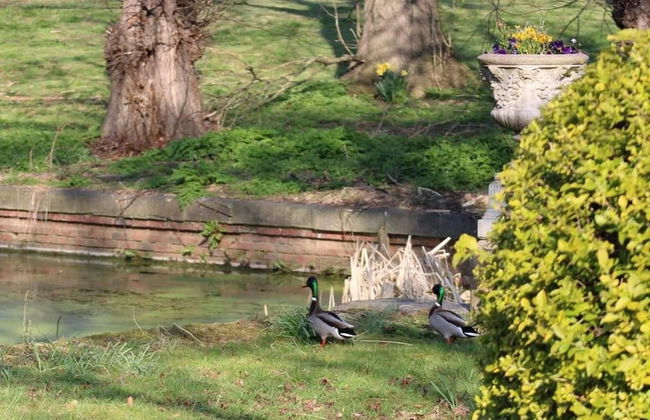 Mansion Annexe - Private 5 Acres-stunning Grounds - Foto 8