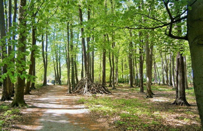 "La Mer" Haus Windrose - Foto 12