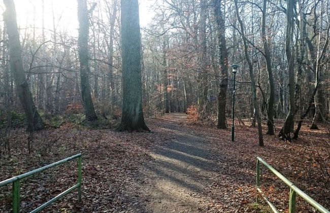 "La Mer" Haus Windrose - Foto 11