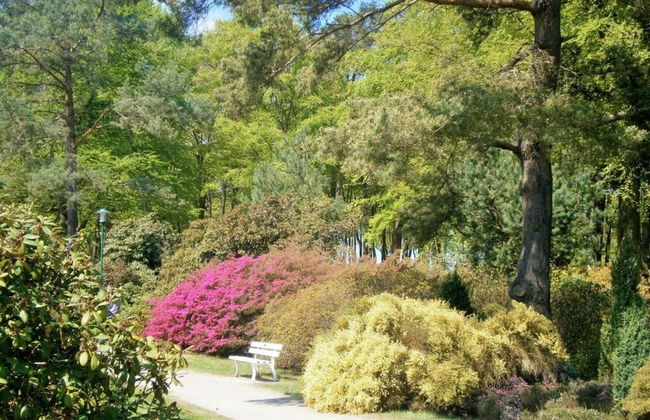 "La Mer" Haus Windrose - Foto 22