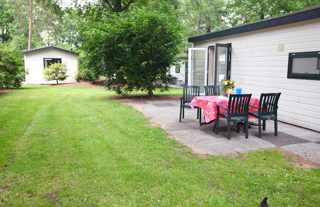 Tidy Furnished Chalet With a Combi Microwave, in the Veluwe - Foto 10