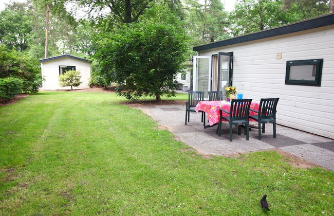 Tidy Furnished Chalet With a Combi Microwave, in the Veluwe - Foto 15