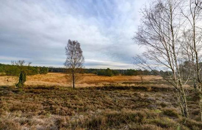 Tidy Furnished Chalet With a Combi Microwave, in the Veluwe - Foto 36