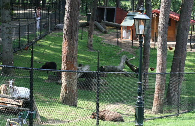 Wooden Holiday Home with Microwave near Brunssummerheide - Photo 20