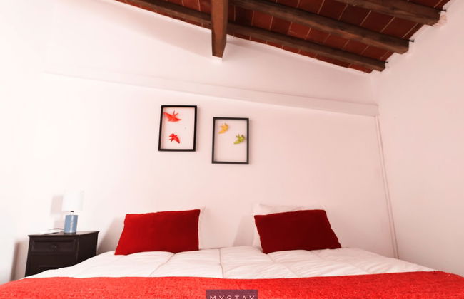 MyStay - Casa dos Parentes - Photo 10