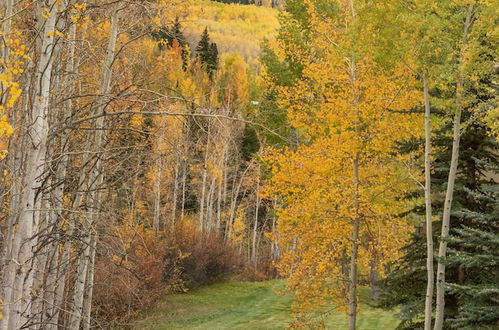 Photo 17 - Two Creeks by Snowmass Vacations