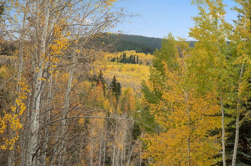 Photo 18 - Two Creeks by Snowmass Vacations