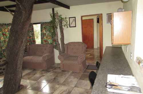 Photo 11 - Amazing Tree in Lounge Eco Apartment With Leopards Passing by at Night
