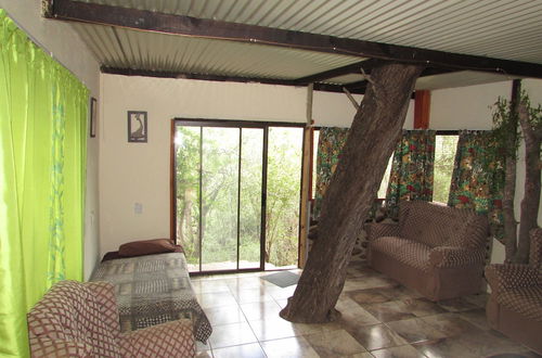 Photo 8 - Amazing Tree in Lounge Eco Apartment With Leopards Passing by at Night