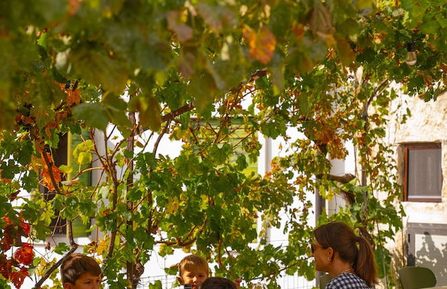 Agriturismo Locanda Case Vecie - Foto 22