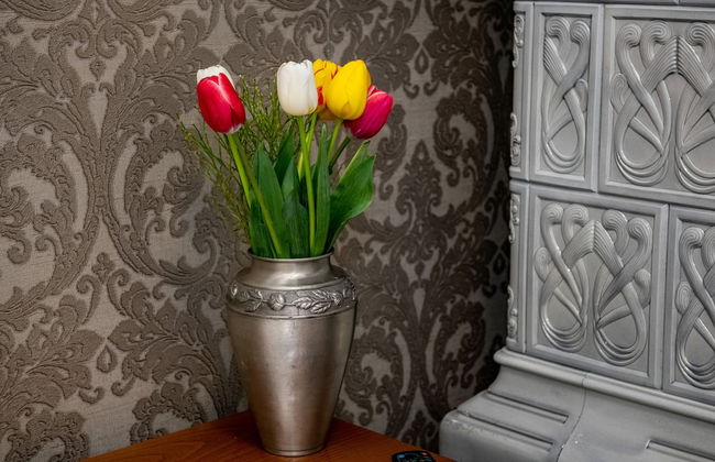 Agora Boutique - Foto 8