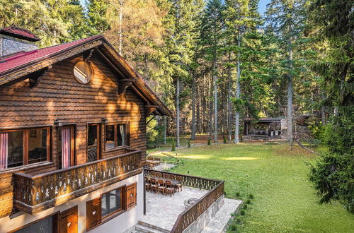 Foto 44 - Villa Borovets Mountain & Luxury