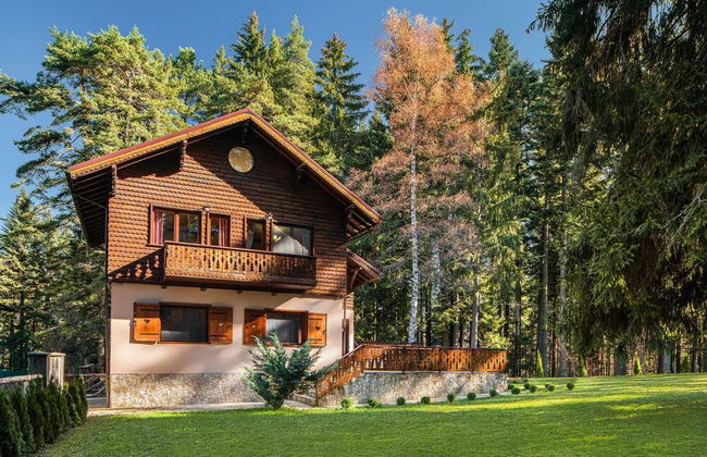 Villa Borovets Mountain & Luxury - Foto 39