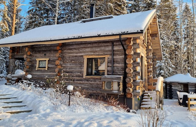 Villa Kaunisvirta - Foto 38