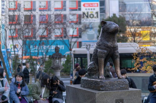 Photo 72 - illi Mani Shibuya