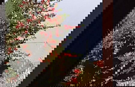 Anastasia s Cottage in Pelion - Photo 18