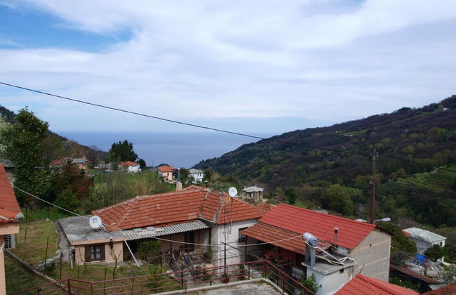 Anastasia s Cottage in Pelion - Photo 13