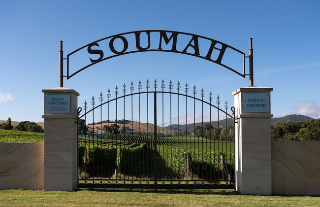 SOUMAH Wines - Foto 29