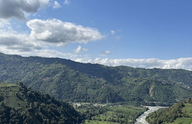 Arte suit bungalov - Photo 58