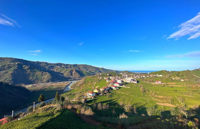 Arte suit bungalov - Photo 46