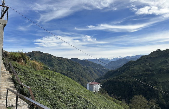 Arte suit bungalov - Photo 56