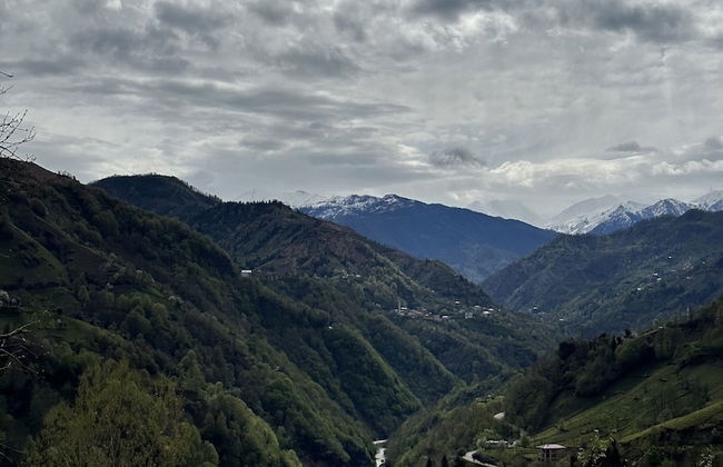 Arte suit bungalov - Photo 59